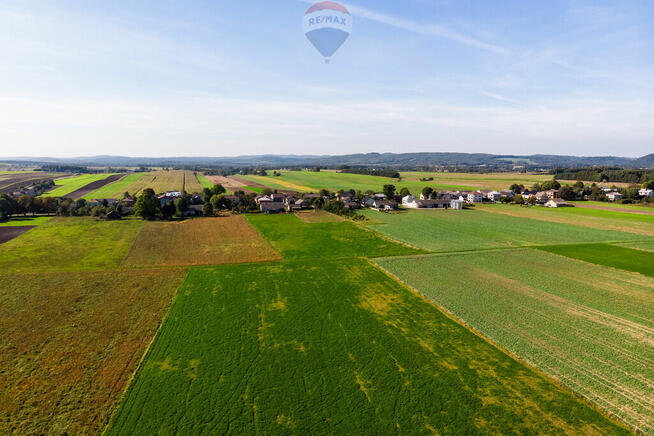 STADNINA KONI GOSPODARSTWO ROLNE GMINA WOLBROM