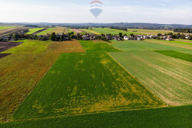 STADNINA KONI GOSPODARSTWO ROLNE GMINA WOLBROM