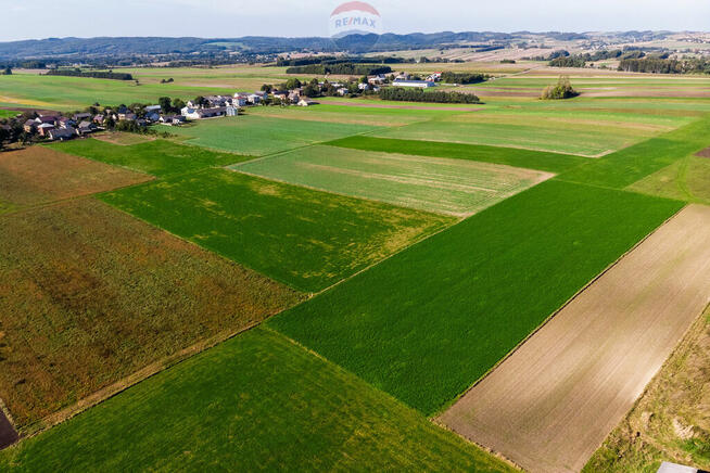 STADNINA KONI GOSPODARSTWO ROLNE GMINA WOLBROM