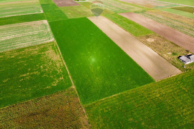 STADNINA KONI GOSPODARSTWO ROLNE GMINA WOLBROM