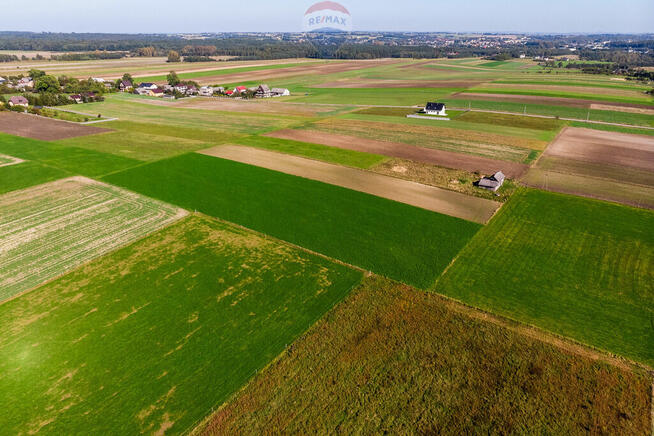 STADNINA KONI GOSPODARSTWO ROLNE GMINA WOLBROM