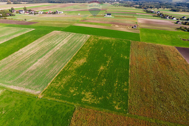 STADNINA KONI GOSPODARSTWO ROLNE GMINA WOLBROM