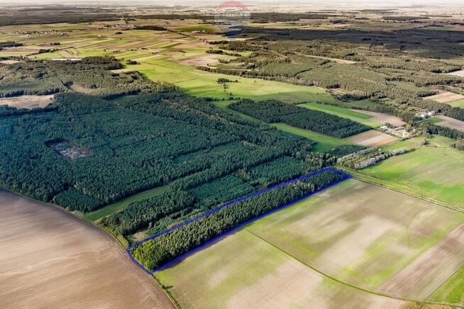 Las mieszany 3,8320 ha Zduny (7 km od Krotoszyna)