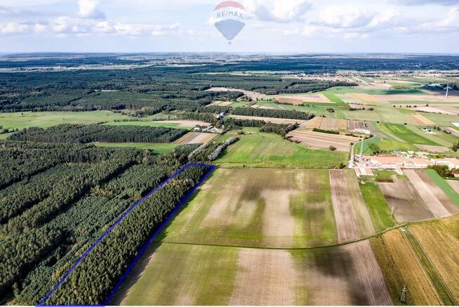 Las mieszany 3,8320 ha Zduny (7 km od Krotoszyna)