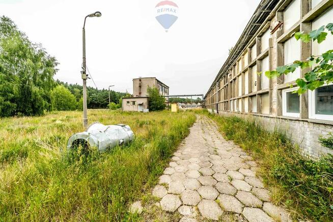 Działka Chodzież, ul. Marcina Kasprzaka