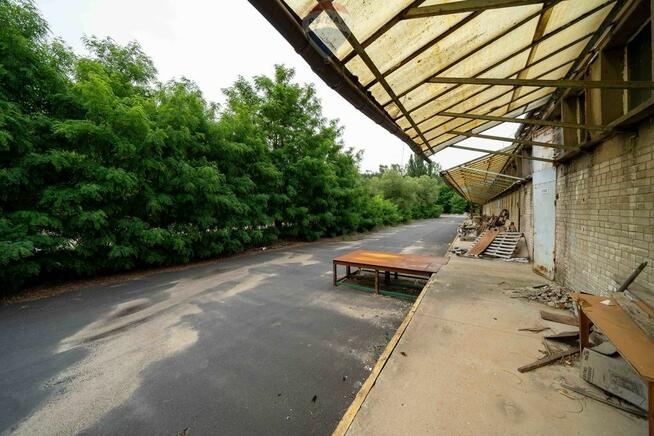 Działka Chodzież, ul. Marcina Kasprzaka