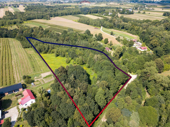 Działka siedliskowa okolice Kazimierza aż 22572 m²