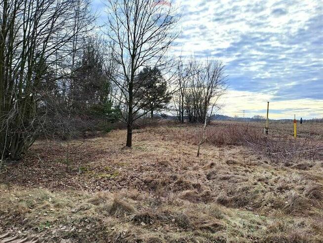 Działka pod zabudowę jednorodzinną lub siedliskową