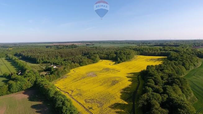 Działka 16,65 ha pod kruszywo lub uprawę.