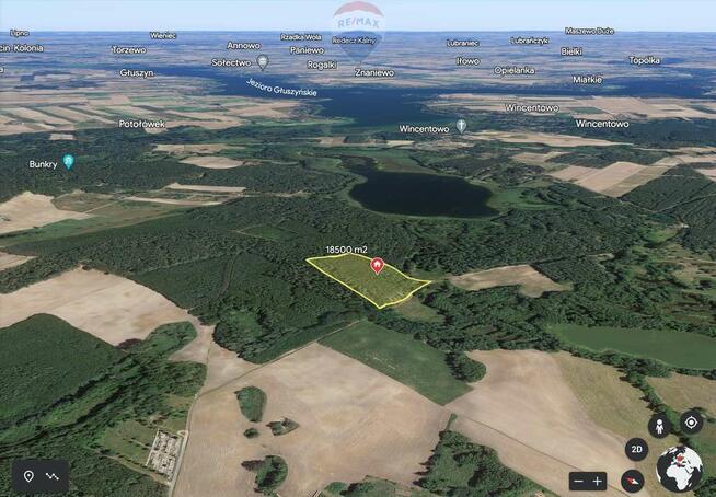 Działka z linią brzegową jeziora.