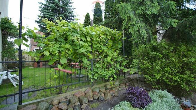 Kamienica w Golubiu-Dobrzyniu 200 m od zamku.