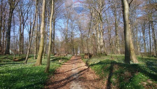 11 ha przy drodze S6/S11. 20 min do Kołobrz