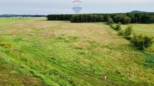 Działka rolna - Smołdziński Las