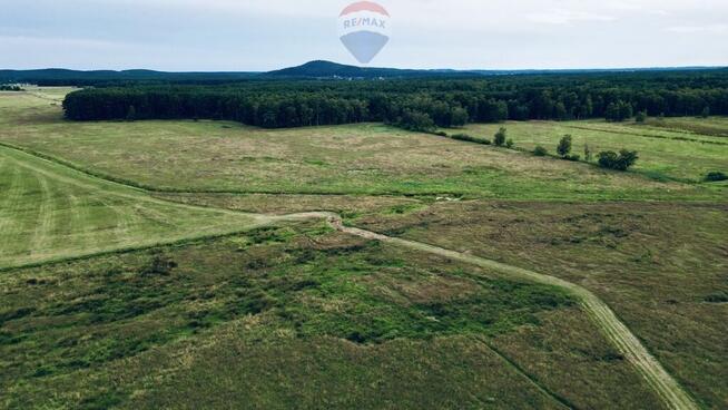 Działka rolna - Smołdziński Las