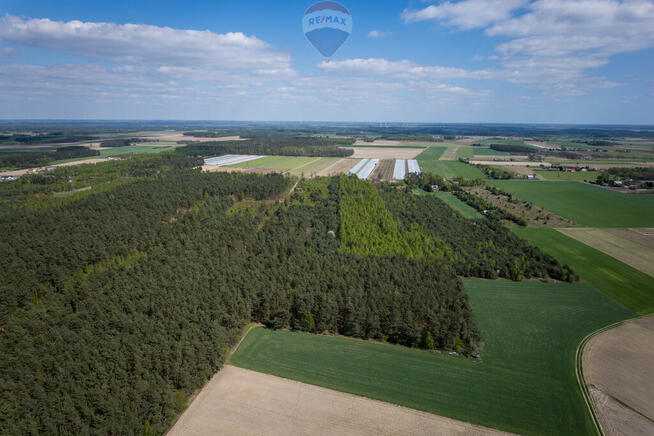Działki z warunkami zabudowy w Nowej Wronie