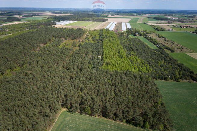 Działki z warunkami zabudowy w Nowej Wronie