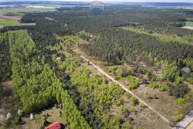 Działki z wydanymi warunkami zabudowy w Ludwikowie