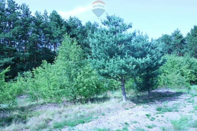 Działąki Budowlane Podłęż