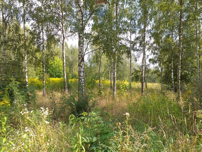 Mazury-uzbrojone działki pod zabudowę rekreacyjną.