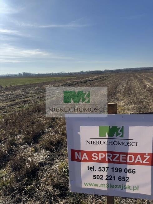 DO SPRZEDAŻY DZIAŁKA Z MOŻLIWOŚCIĄ ZABUDOWY-DĘBNO-