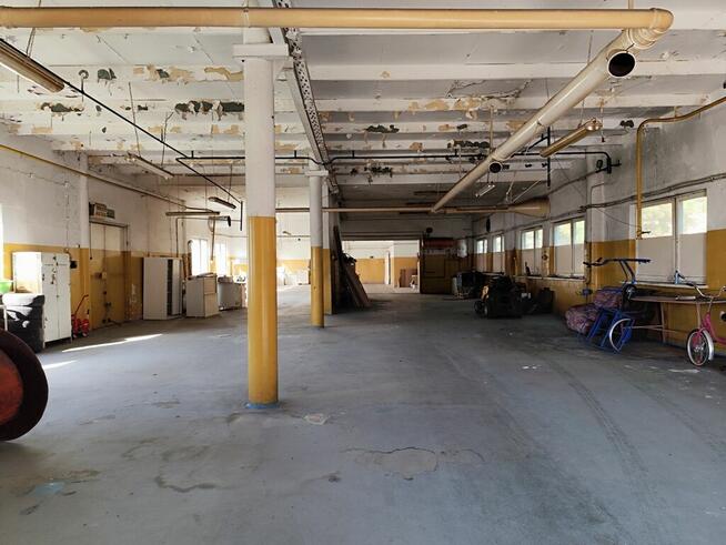 Duży kompleks produkcyjno-magazynowy IGLOOPOL Brzesko