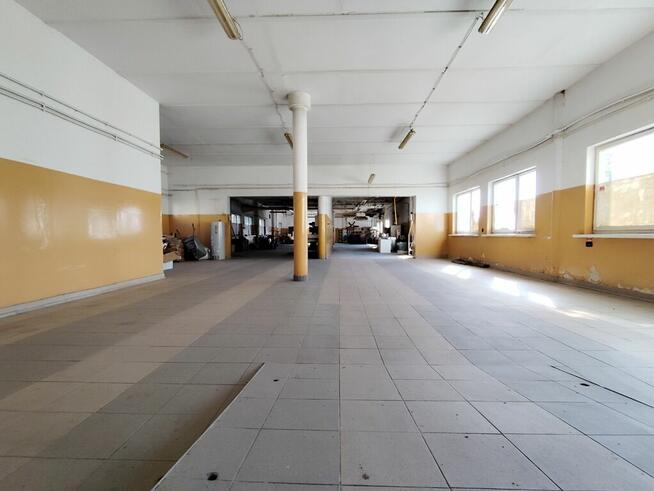 Duży kompleks produkcyjno-magazynowy IGLOOPOL Brzesko