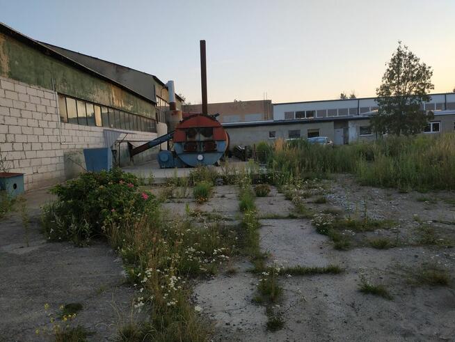 Na sprzedaż - zorganizowana część przedsiębiorstwa