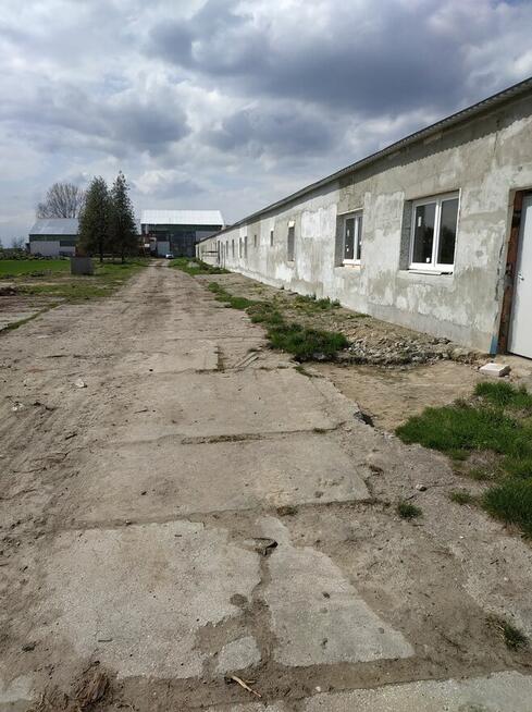 Na sprzedaż - zorganizowana część przedsiębiorstwa