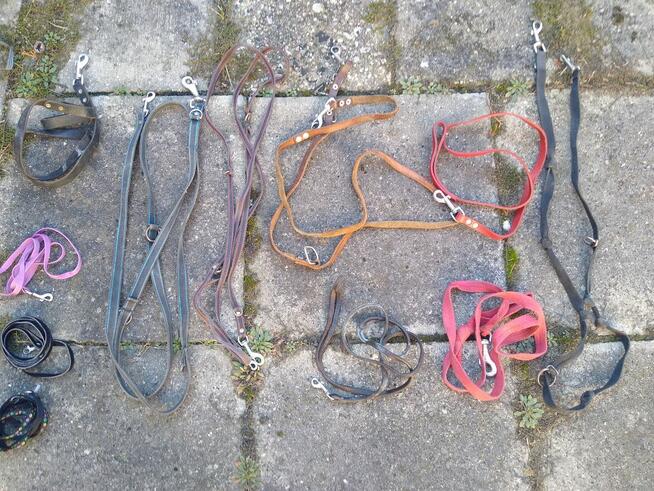 Smycz, 3 szt, kaganiec, po 15 zł/szt., różne.