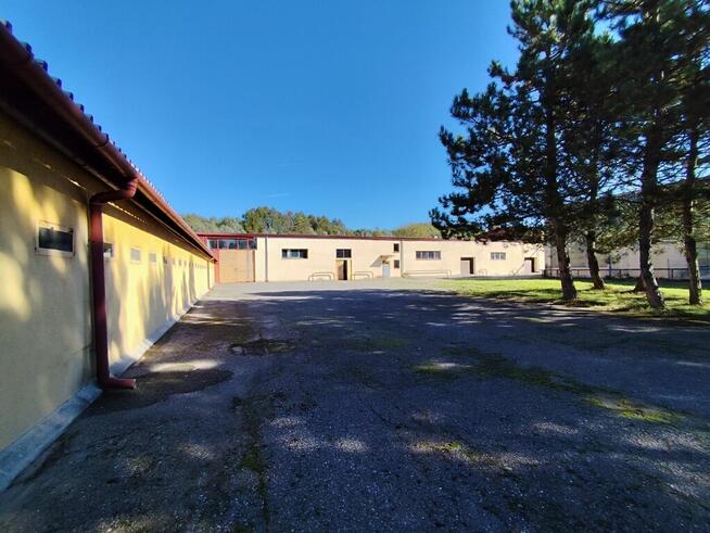 Duży kompleks produkcyjno-magazynowy IGLOOPOL Brzesko