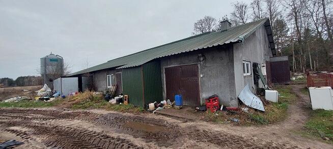 Syndyk sprzeda - Jednorożec, dz. ew. nr 1617