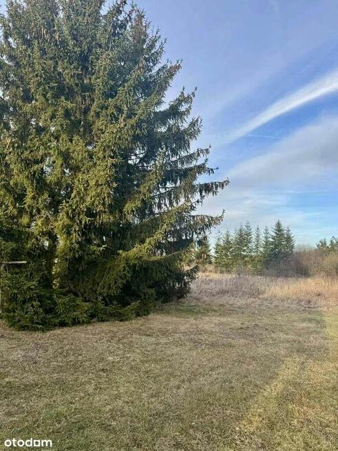 Piękna działka w Bębnowie.