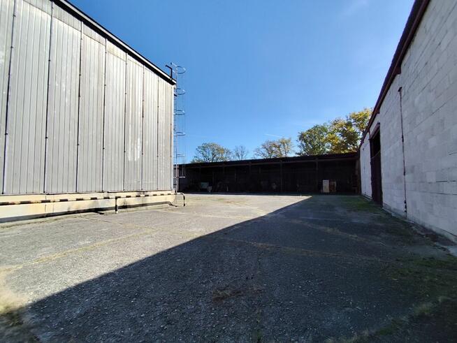 Duży kompleks produkcyjno-magazynowy IGLOOPOL Brzesko