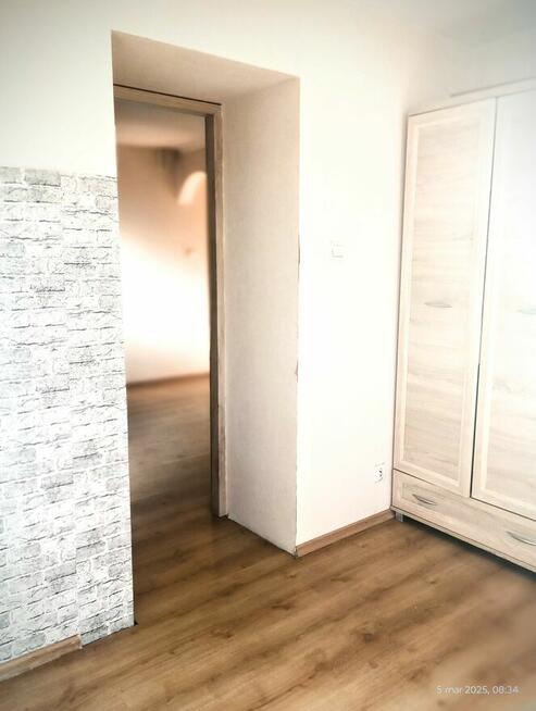 Dom Staszów Działalność Gospodarcza Mieszkanie Działka Domek