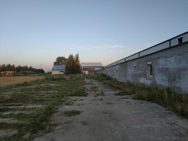 Na sprzedaż - zorganizowana część przedsiębiorstwa