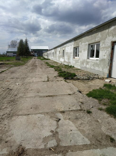 Na sprzedaż - zorganizowana część przedsiębiorstwa