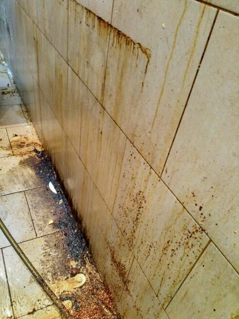 Pranie tapicerek , mycie kostki i elewacji