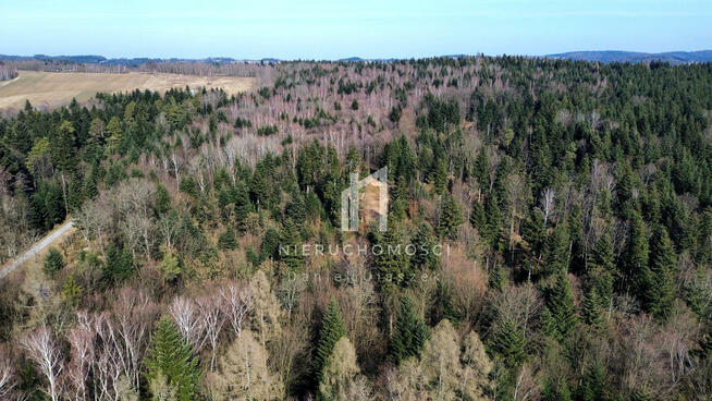 Działka leśna Szerzyny