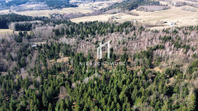 Działka leśna Szerzyny