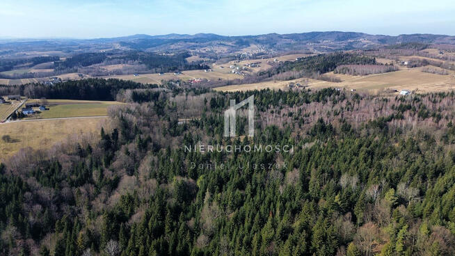 Działka leśna Szerzyny