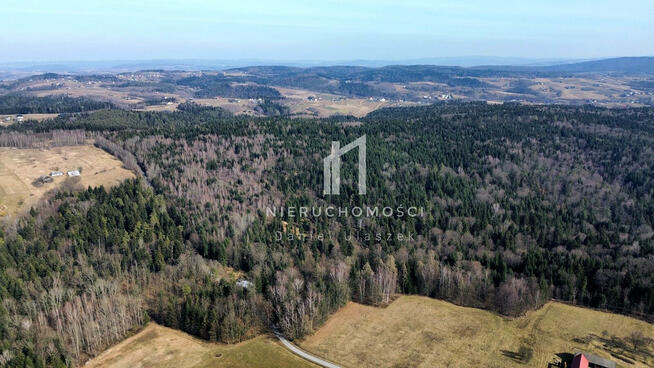 Działka leśna Szerzyny