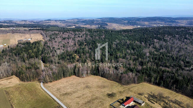 Działka leśna Szerzyny