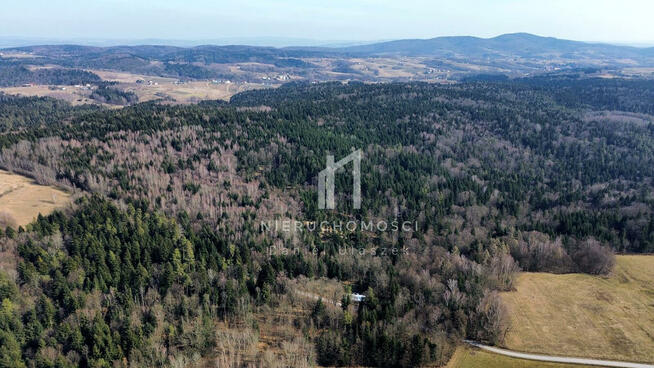 Działka leśna Szerzyny
