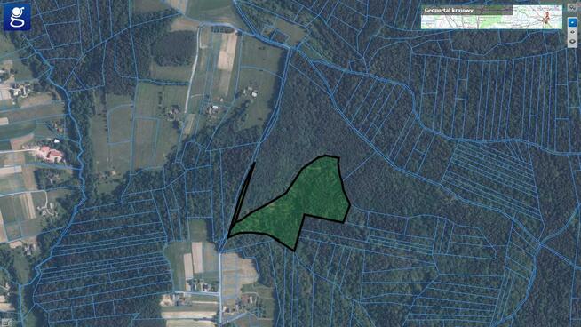 Działka leśna Szerzyny