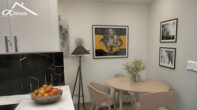 Lokal użytkowy Lublin Śródmieście, Niecała