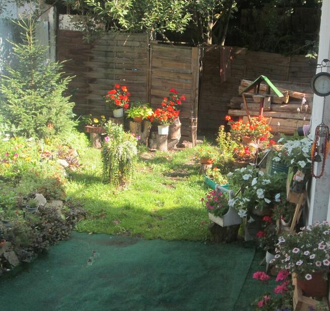 Dom do wynajęcia na ul Sw Anny w Nowym Targu