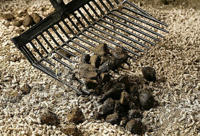 Zatrudnimy menadżera/kę z branży żywienia i hodowli zwierząt