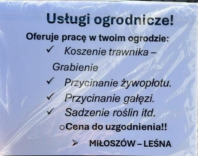 Oferuje Usługi Ogrodnicze