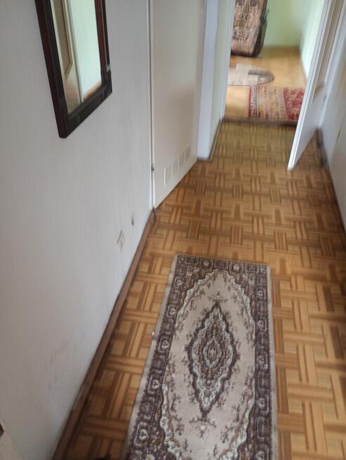 Mieszkania do wynajęcia