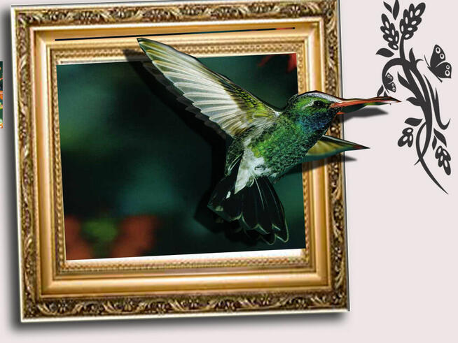 Grafik , grafik 3d poszukuje pracy w zawodzie , social media